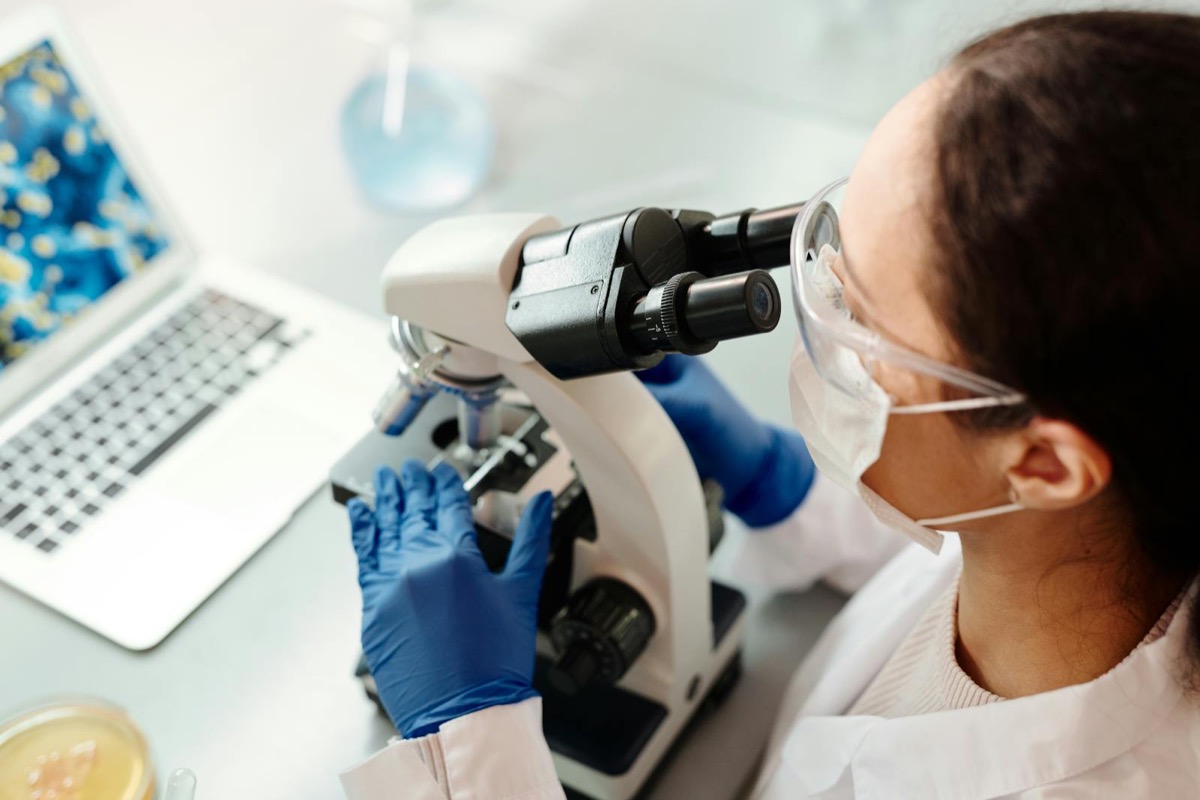 A researcher examining samples in a laboratory
